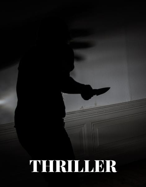 thriller books, a book genre